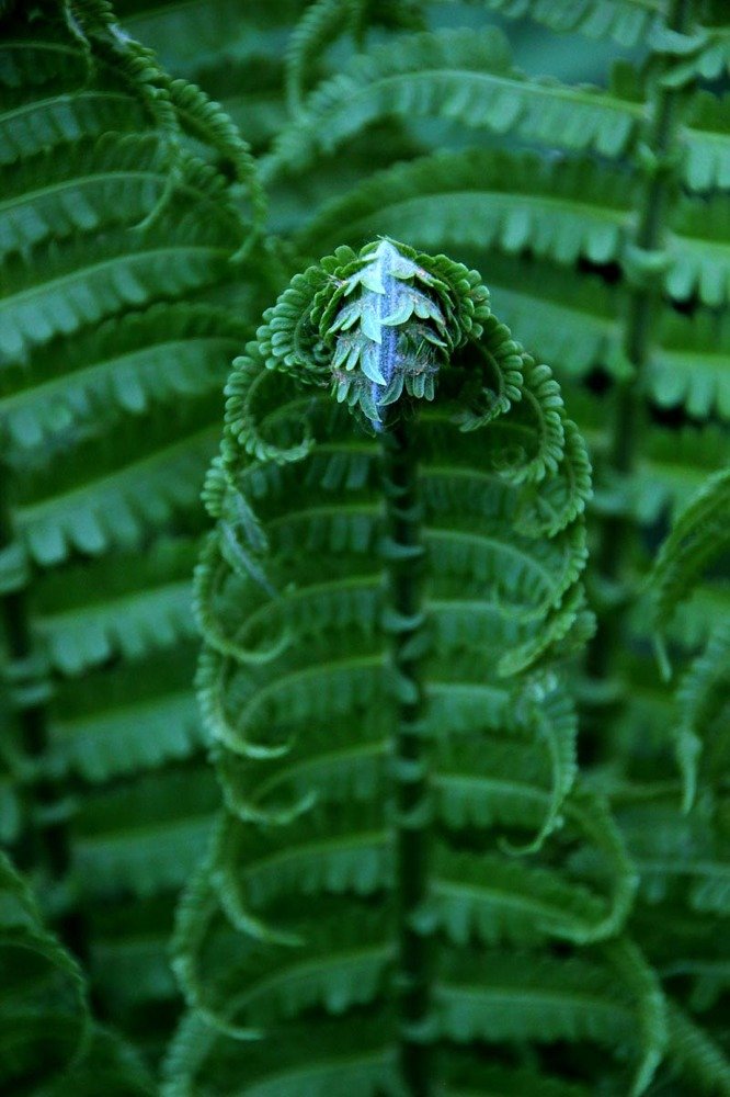 Photograph by БЕРТЕЛЬС ВАСИЛИЙ