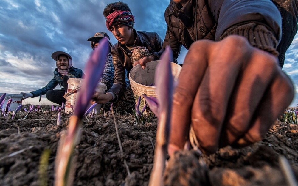 Photograph by amir ali navadeh shahla