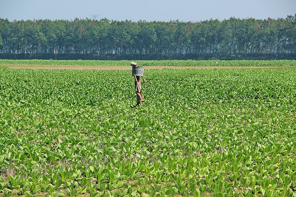 Photograph by  Harun-ar-rashid