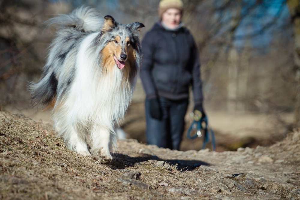 Photograph by Юлия Туровцева