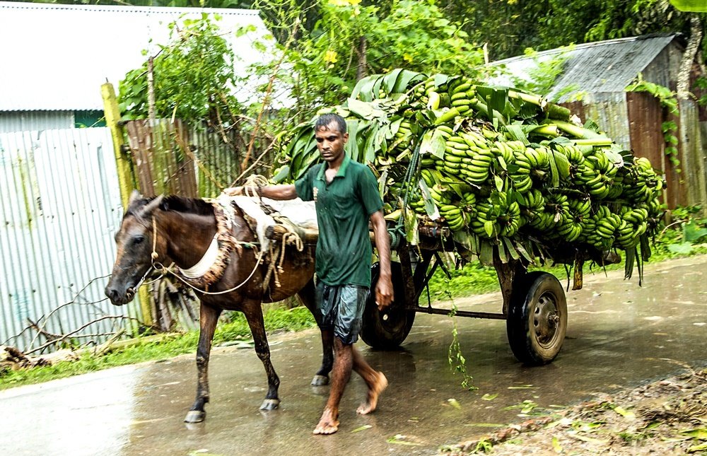 Photograph by  Harun-ar-rashid