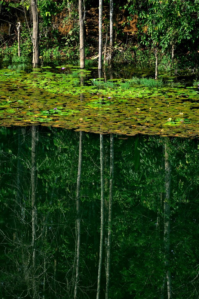 Photograph by Tushar Singh