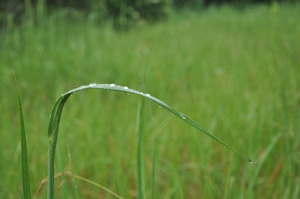 Photograph by Александр Штифман