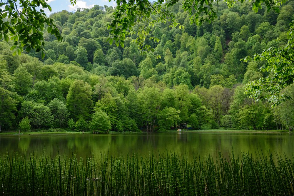 Photograph by Hayk Manukyan