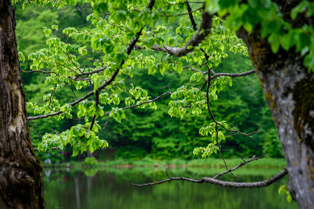 Photograph by Hayk Manukyan