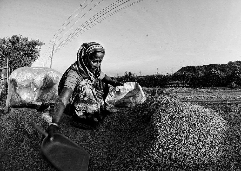 Photograph by  MD DIDARUL ALAM CHY