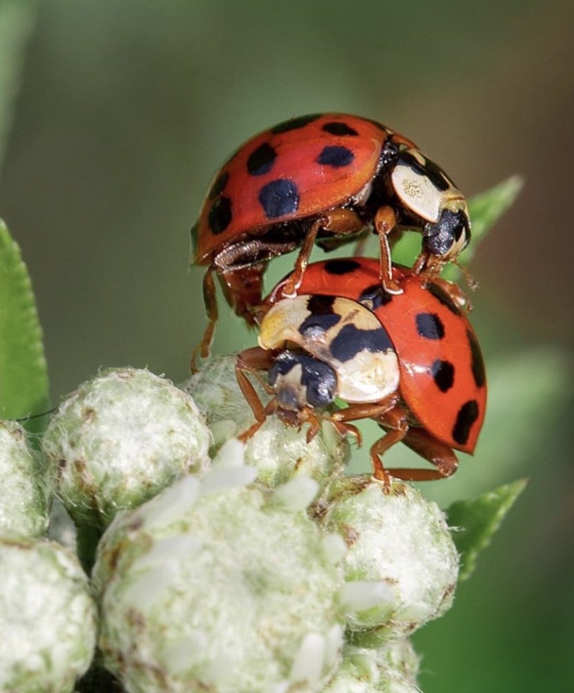 Фотография автора Зоя Галимова