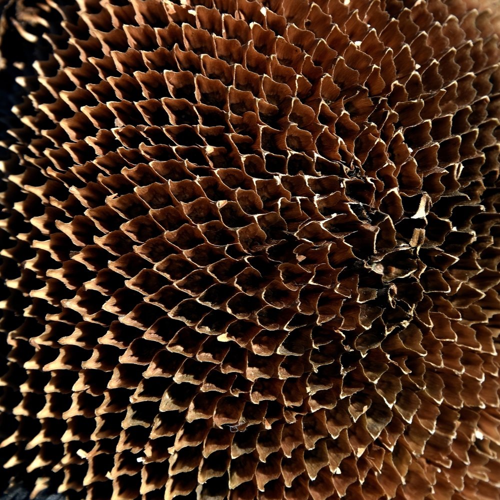 Photograph by Дмитрий Розенбаум