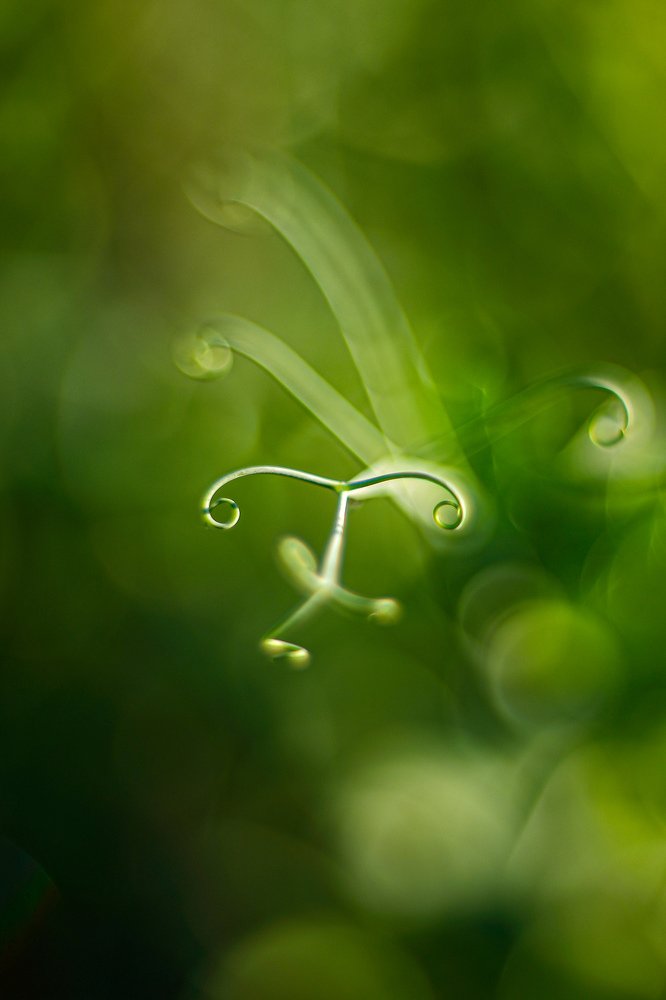 Photograph by Sergey Uskov