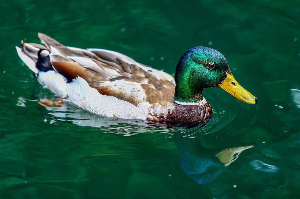 Photograph by Sergey Uskov