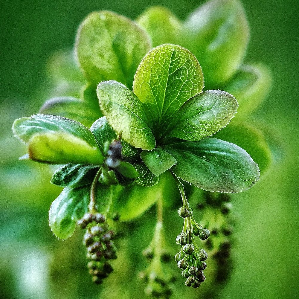 Photograph by Сергей Федоров