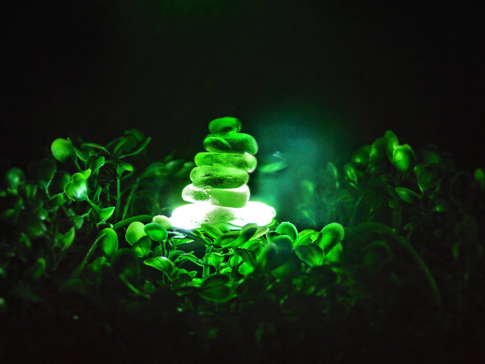 Photograph by Юрий Филицкий