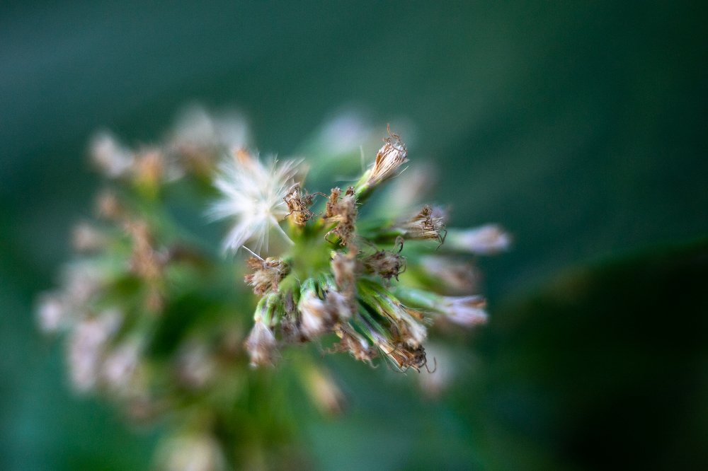 Фотография автора Ольга Матусевич
