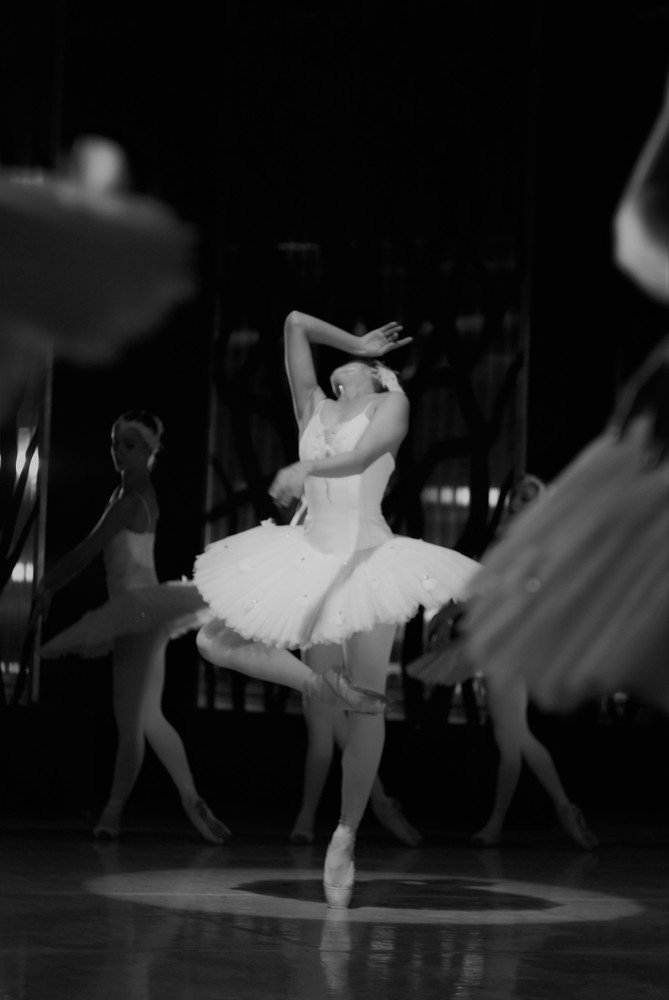 Swan Lake