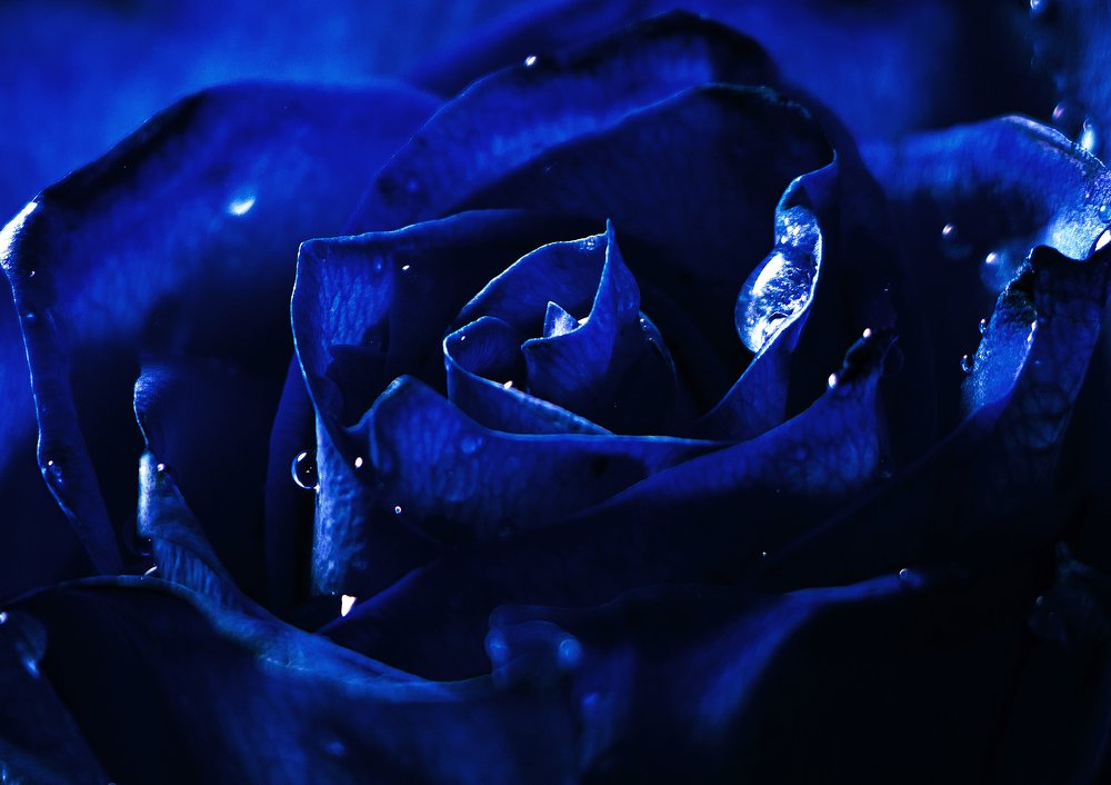 Photograph by Сонетта Саркисян