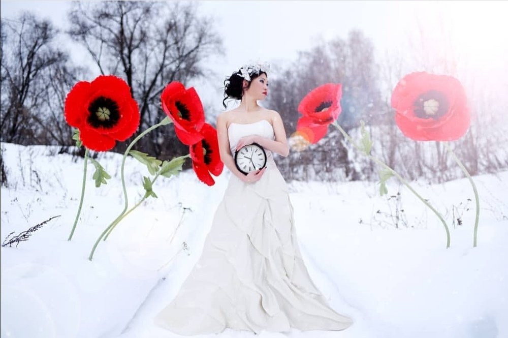 Фотография автора Анна Матвеева