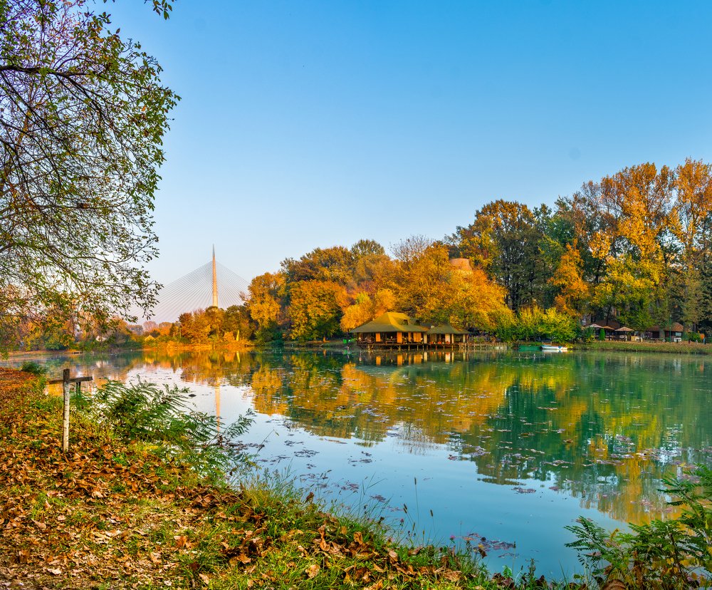 Photograph by David Hadzic