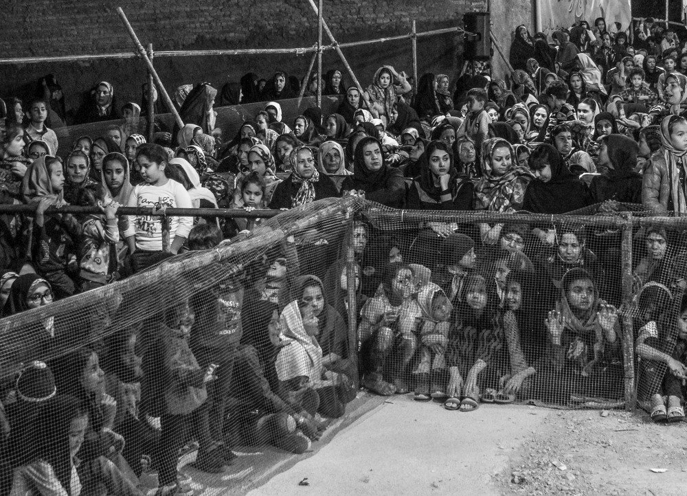 Photograph by pegah pouresmaeil