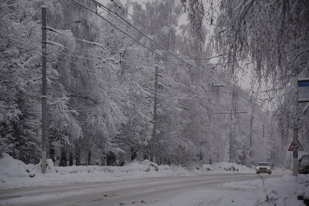 Photograph by Любовь Новикова