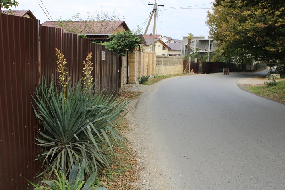 Photograph by Николай Немчанинов