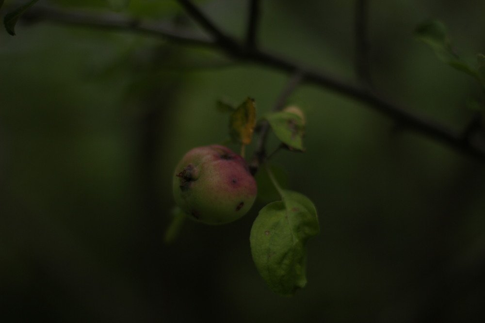 Photograph by Yulia Ryazanova