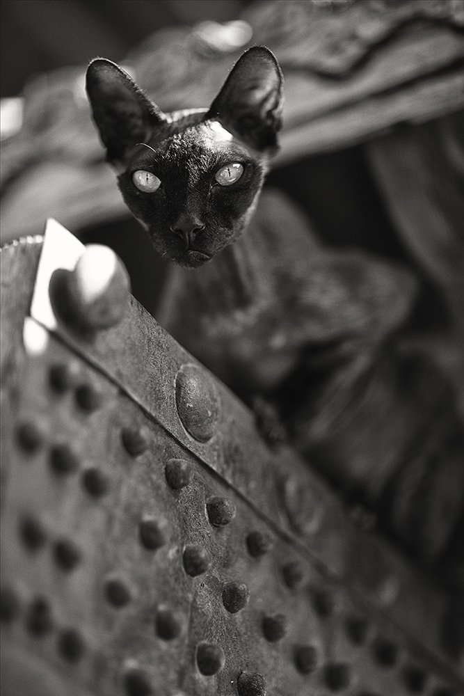 Фотография автора Наталья Законова