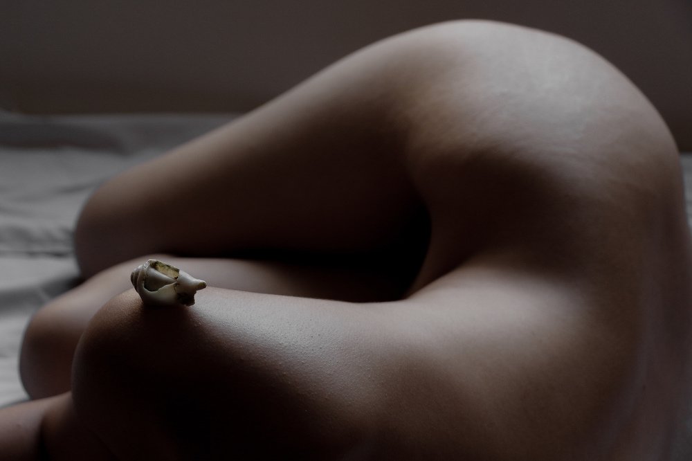 Photograph by Haniye Kiani