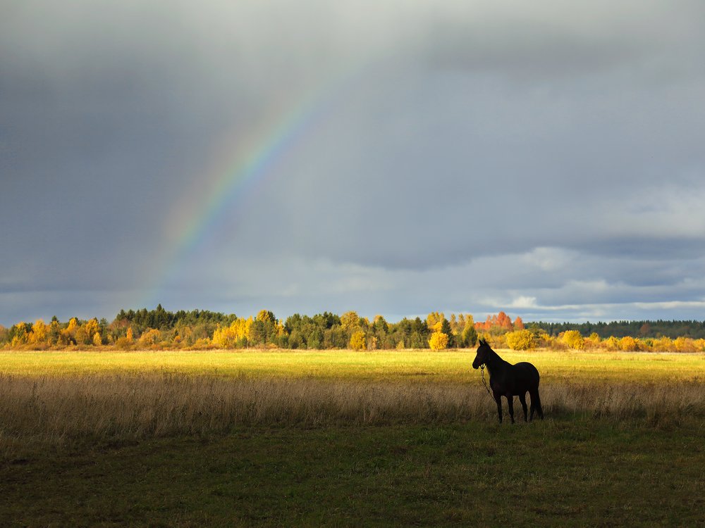 Photograph by Артём Самохвалов