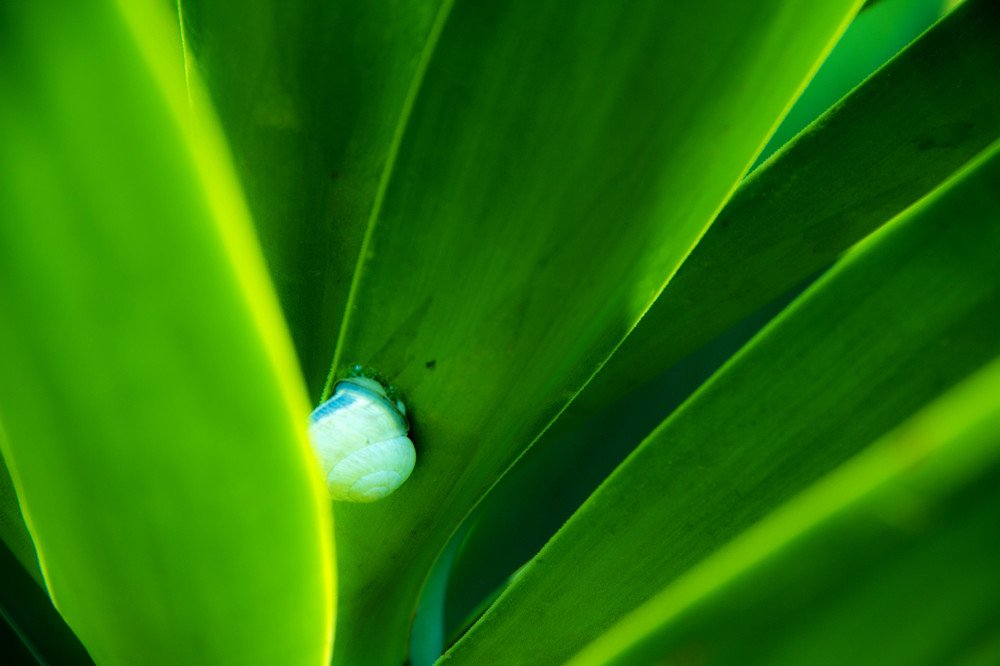 Photograph by  Hamid