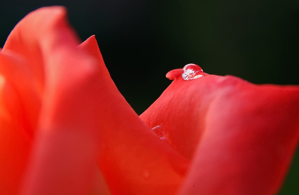 Фотография автора Севак Асрян