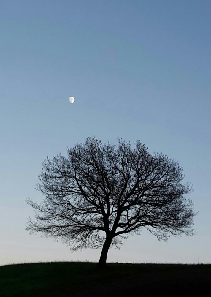 Photograph by Maurizio