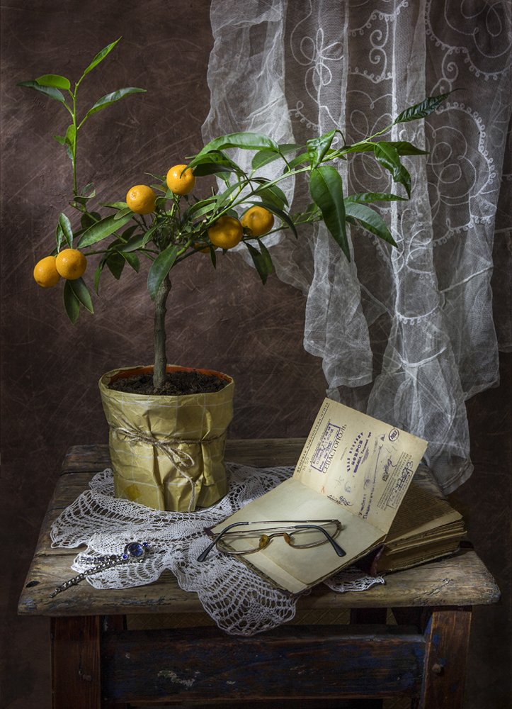 Фотография автора Zadorina Svetlana