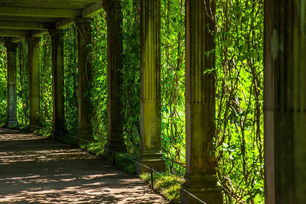 Часть перголы