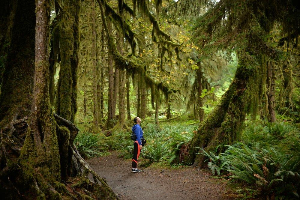 Photograph by Ольга Садохова