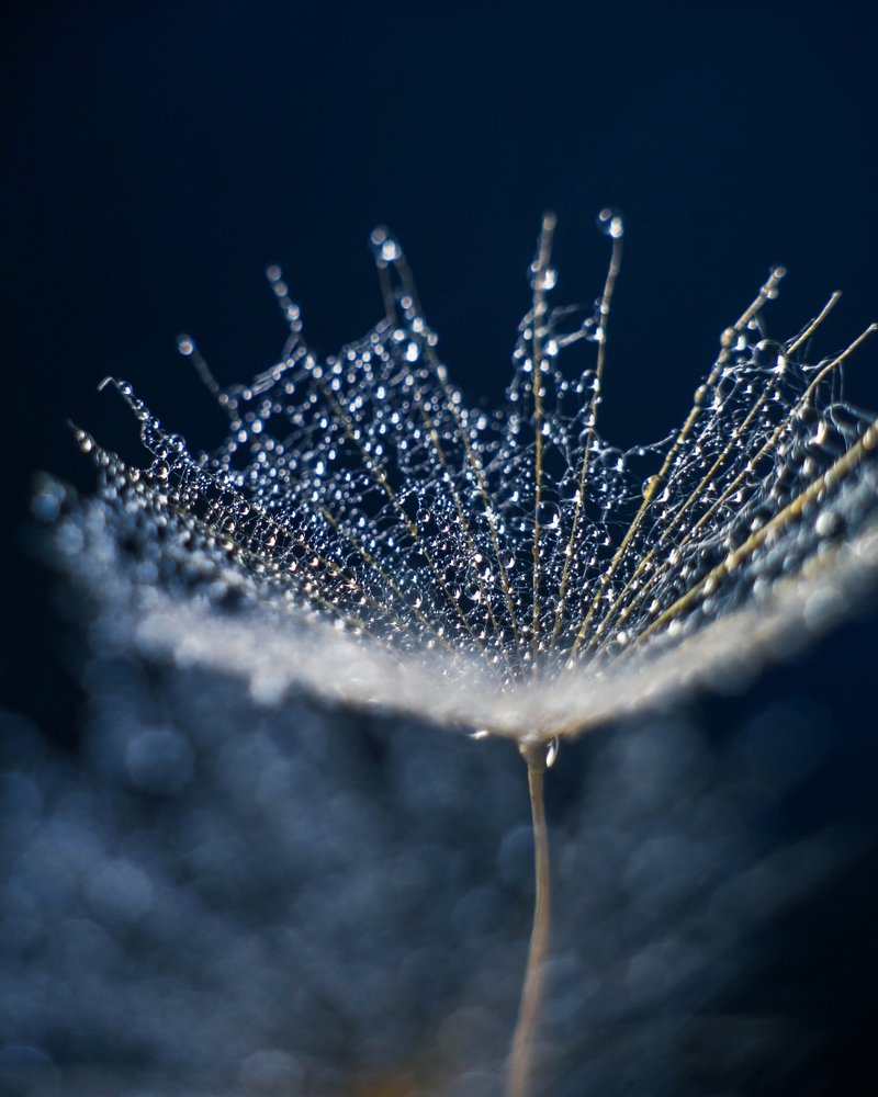 Photograph by Лилия Павлова