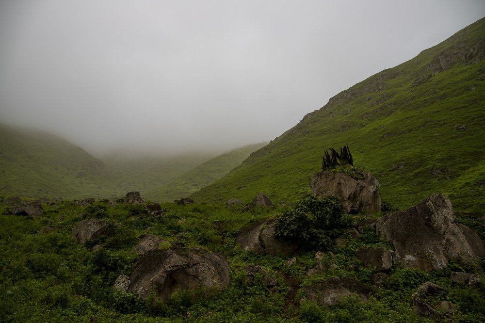 Photograph by Alejandra Collarte