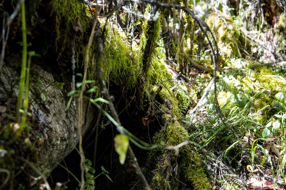 Photograph by Alejandra Collarte