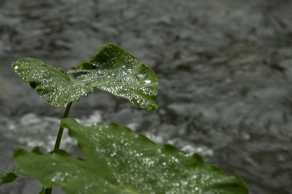 Photograph by Alejandra Collarte