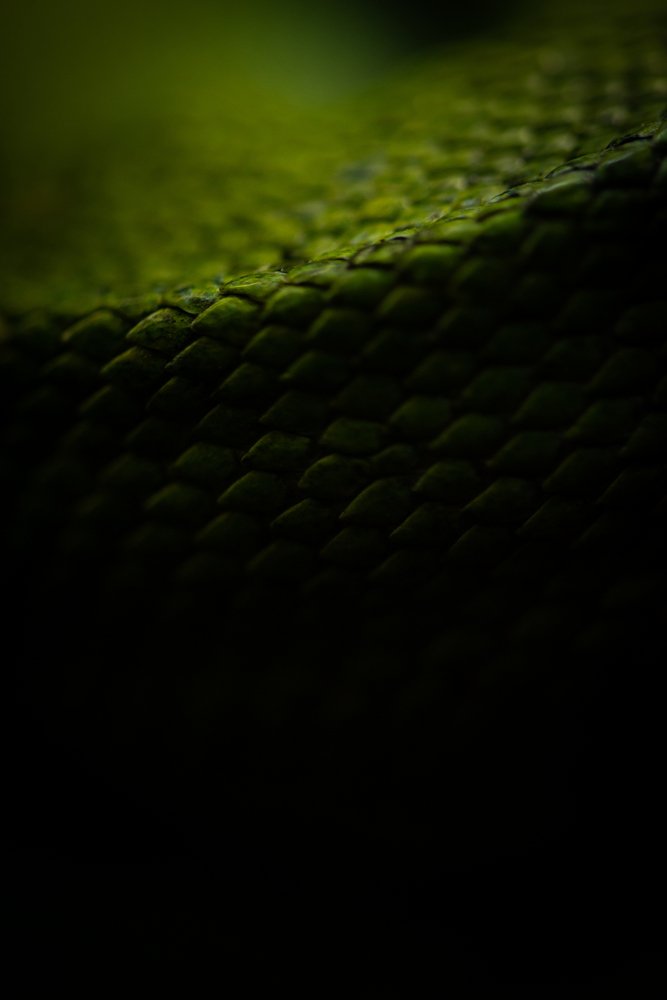 Photograph by Ostojic Marko