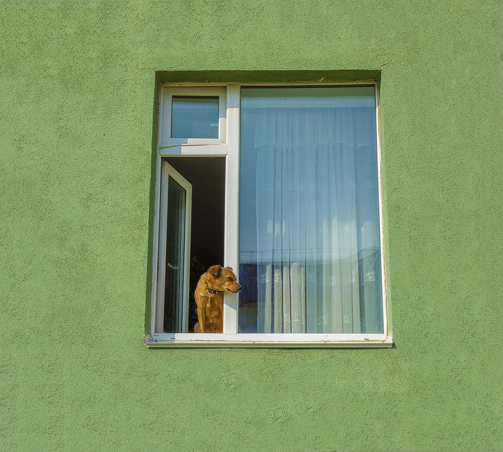 Чет подозрительно...