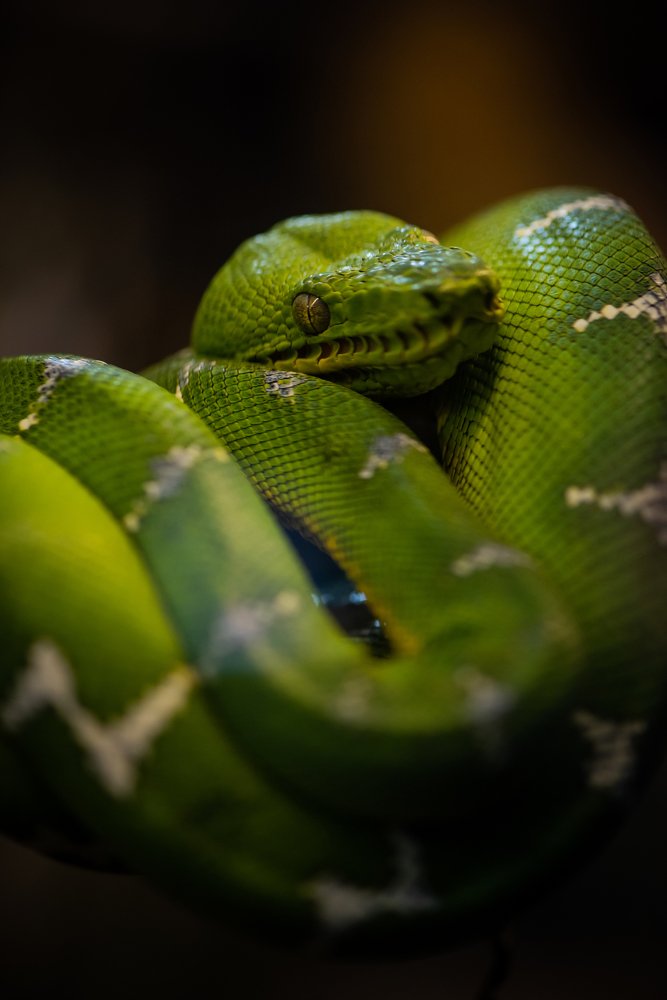 Photograph by Ostojic Marko