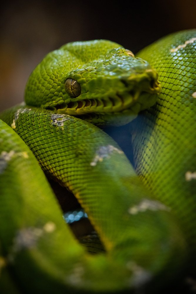 Photograph by Ostojic Marko