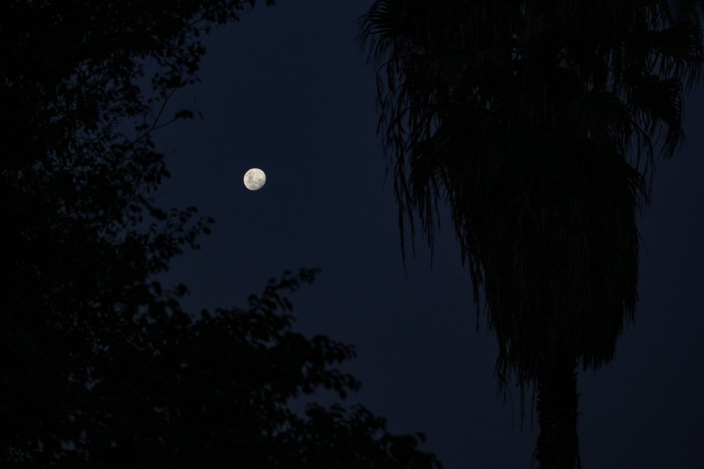 Photograph by Alejandra Collarte