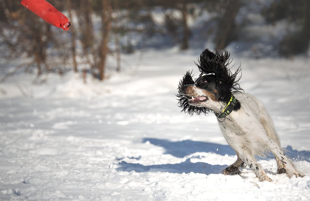 Photograph by Юлия Прозорова