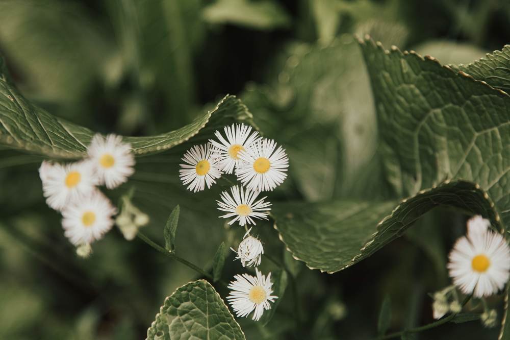 Photograph by Оксана Печкурова