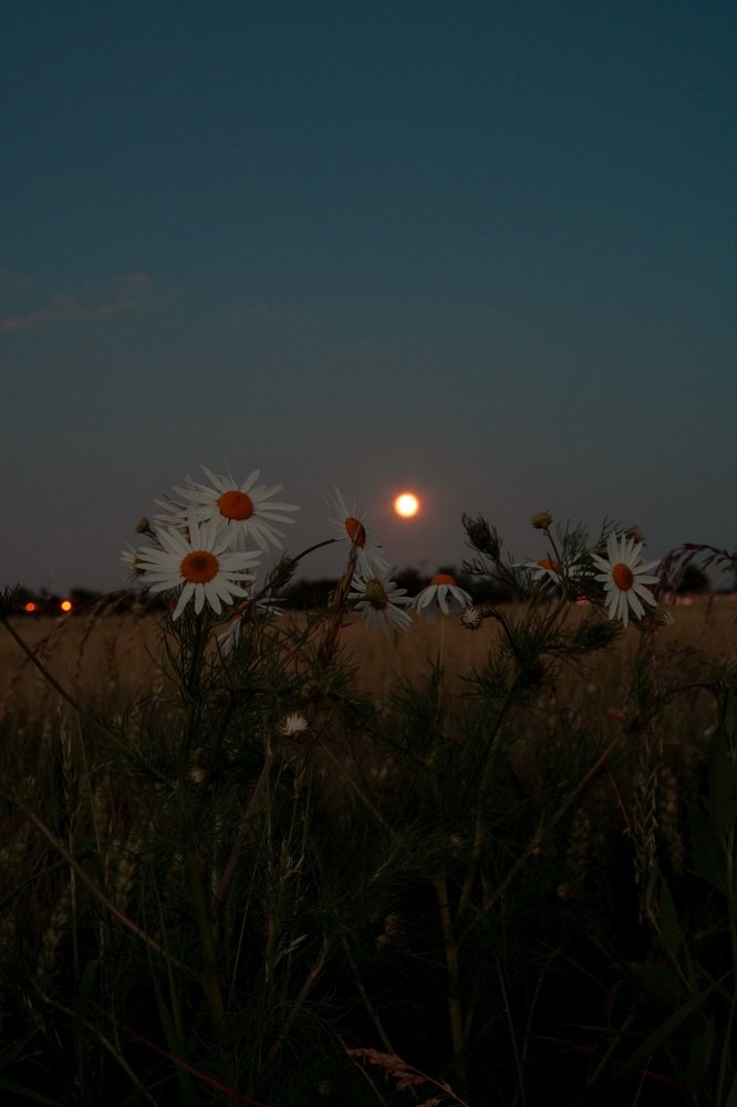 Фотография автора Иванов Андрей