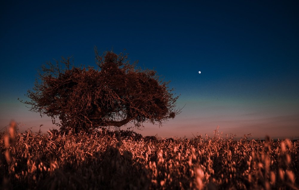 Фотография автора Иванов Андрей