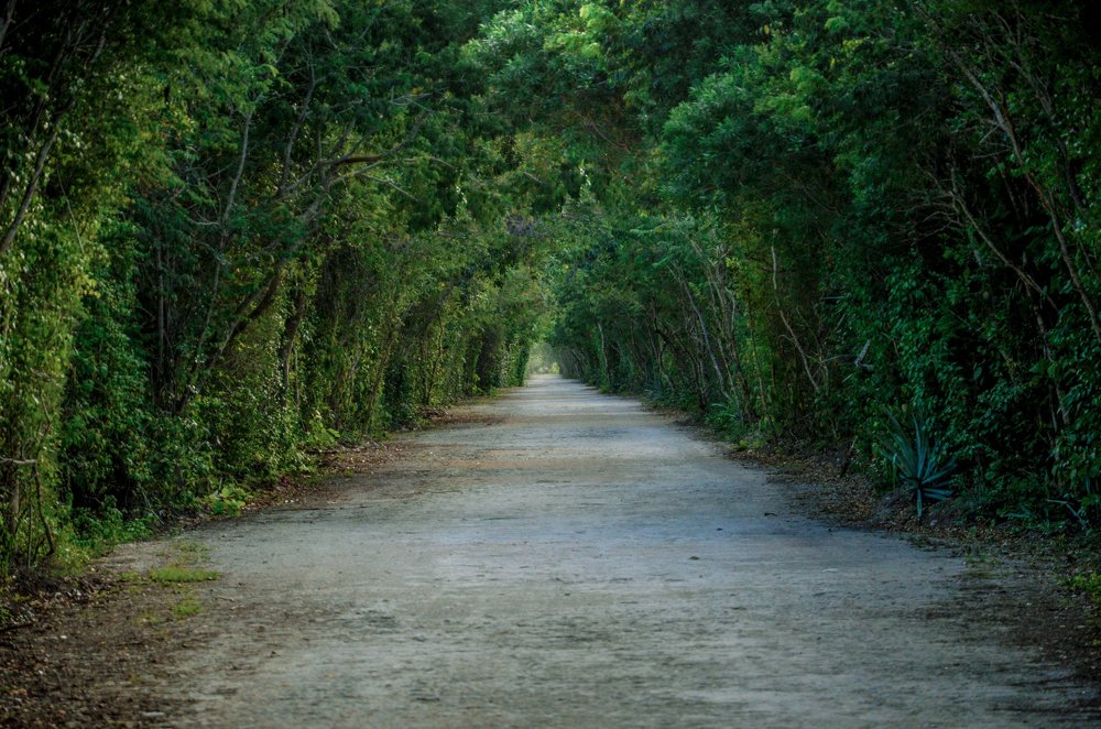 Photograph by Fernando Sileo