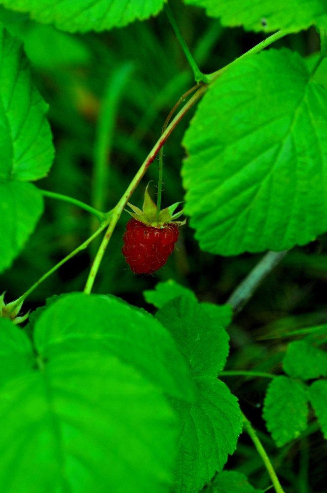 Photograph by Евгений Захаров