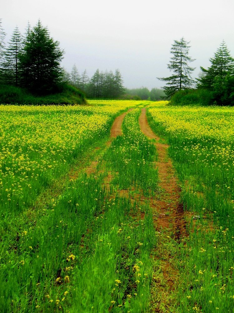 Photograph by Евгений Захаров